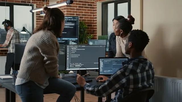 Software development team